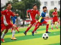 韩K上演7+进球大战 水原FC4-3逆转大邱FC喜迎赛季主场首胜